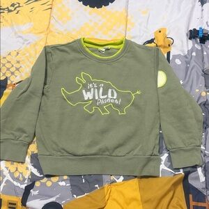 Wild Planet Kids Green Sweatshirt